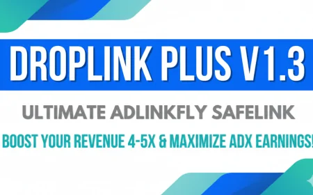 Droplink Plus v1.3 Modify WP Safelink Free Download